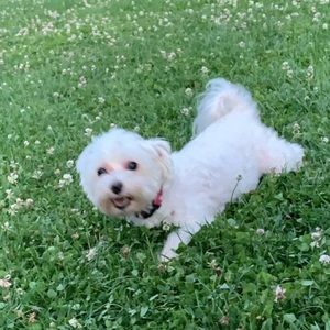 Meet your Posher, Charlene